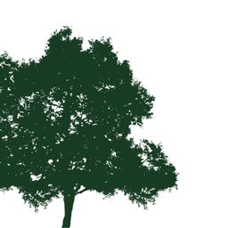 Moness Resort Logo