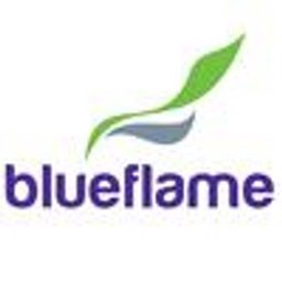Company logo Blue Flame