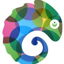 Company logo Chameleon Digital Media