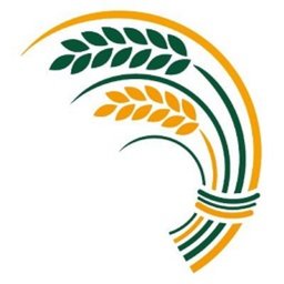 Company logo Cheshire East Council