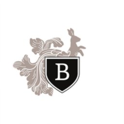 Firmenlogo Bürgenstock Hotels AG