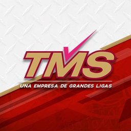 Logotipo de la empresa Transportes Monroy Schiavon
