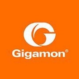 Logo de l'entreprise Gigamon