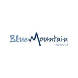 Company logo Blue Mountain Homes