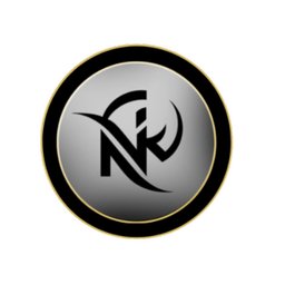 Company logo NIKSI