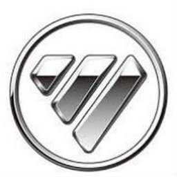 Company logo FOTON