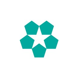 Company logo Paragon Force, Inc