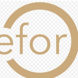 Logo de l'entreprise EFOR GROUP