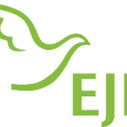 Firmenlogo EJF gemeinnützige AG