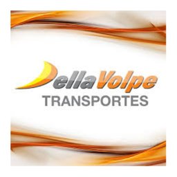 Company logo Transportes Della Volpe
