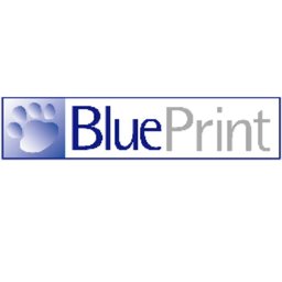 شعار الشركة Blueprint