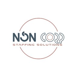 Company logo NSN CORPORATION LTD