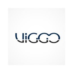 Company logo Grupo Viggo