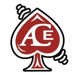 Company logo Ace Roofing LLC