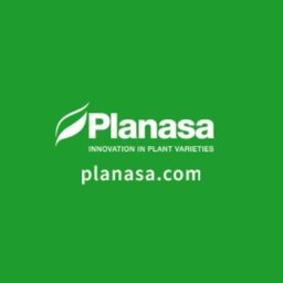Logotipo de la empresa PLANASA