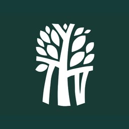 شعار الشركة Banyan Tree