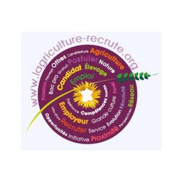 Logo de l'entreprise ANEFA MANCHE