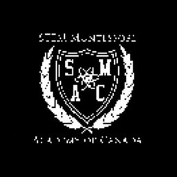 Company logo STEM Montessori Academy of Canada