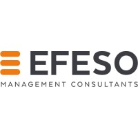Logo de l'entreprise EFESO Management Consultants