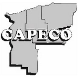 Logotipo de la empresa CAPECO