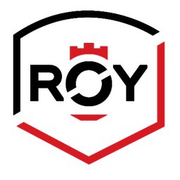 Company logo Groupe Roy Auto
