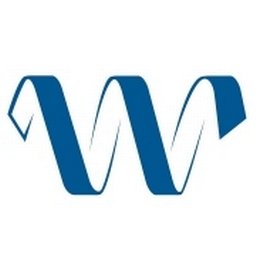 Company logo The Wise Group