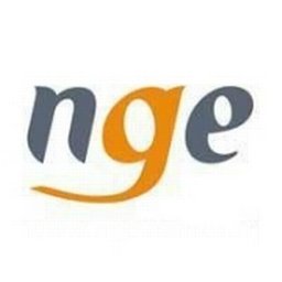 Logo de l'entreprise NGE