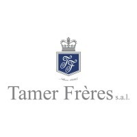 شعار الشركة Tamer Group