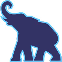 Company logo memoryBlue