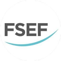 Logo de l'entreprise FSEF