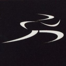 Company logo Premier Physical Therapy & Sports Performance