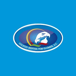 Logotipo de la empresa COLEGIO BERTHA VON GLUMER