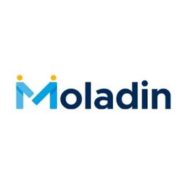 Logo perusahaan PT.Moladin digital Indonesia