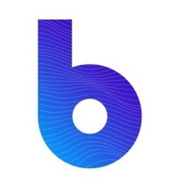 Company logo Bounteous