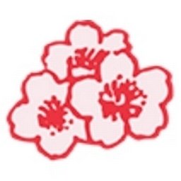 Company logo Sakura Tech (S) Pte Ltd