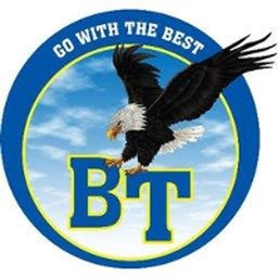 Company logo Team BIR