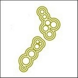 Company logo Statistics New Zealand