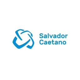 Company logo Salvador Caetano