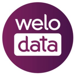Company logo Welocalize