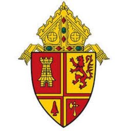 Company logo The Catholic Diocese of St. Petersburg