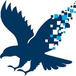 Company logo DAS Federal