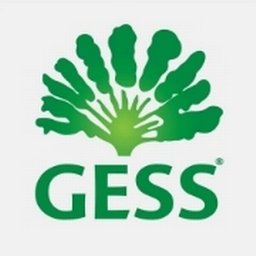 Company logo German European School Singapore