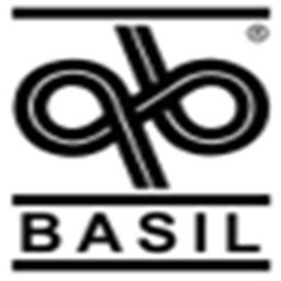 Company logo Basil Family Dealerships