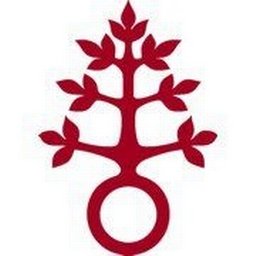 Firmenlogo Dominikus-Ringeisen-Werk