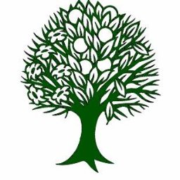 Company logo MEDFORD LEAS