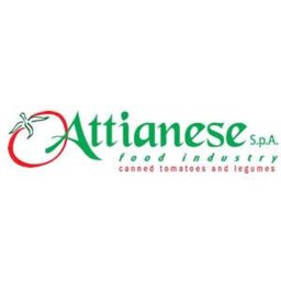 Company logo Attianese Spa