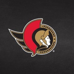 Company logo Senators Sports & Entertainment