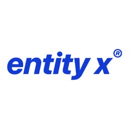 Company logo Entity X
