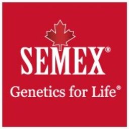 Company logo SEMEX