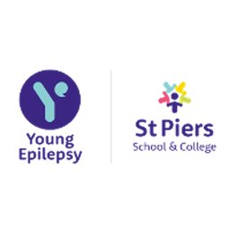 Company logo Young Epilepsy